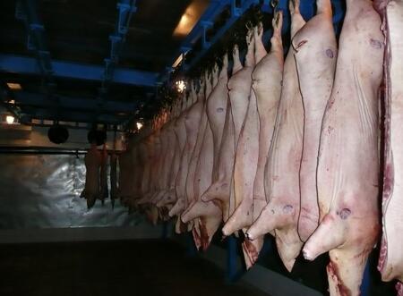 Линии технологические для мясокомбинатов. Мясокомбинаты от убоя до консервного производства