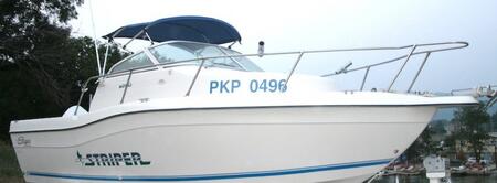 Катер Seaswirl