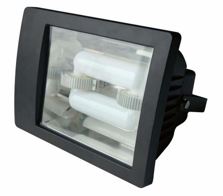 Индукционный прожектор SNS-TG003B-120W