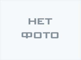 Шестерни бронзовые А1-ПСУ-1 00.070