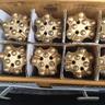 Коронка буровая Atlas Copco 41х25; Коронка буровая Mitsubishi 41х25; Mitsubishi 41х22, Коронка буровая Sandvik 40х25; коронка БКПМ/КДП 40х25