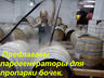 Купить парогенератор промышленный