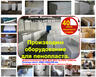 Купить оборудование для пенопласта