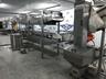 Универсальная линия обжарки (рыбы, морепродуктов, овощей, сухариков и т.д.)
