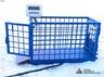 Весы для животных. Напольные весы для КРС ВП-С 500 кг