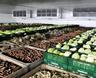 Холодильные Установки для Овощехранилищ и Фруктохранилищ от Производителя.