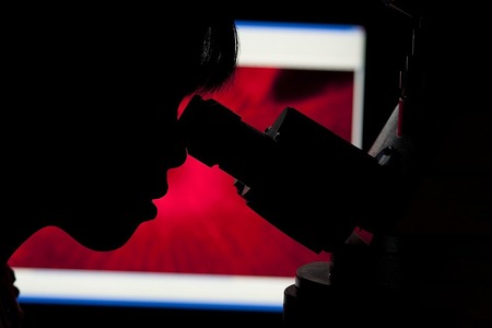 В будущем будет возможно выращивать новые органы