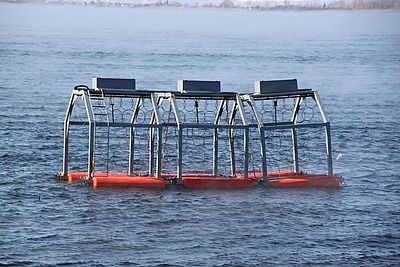 Тетис КС презентовал руководству АЭС уникальную разработку - ИЗП Завеса