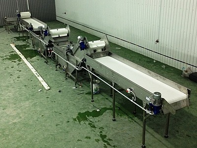 ЛИНИЯ ЗАСОЛКИ ОГУРЦОВ И ТОМАТОВ