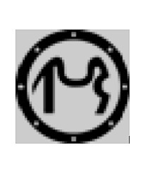 Диски сцепления и тормозные диски ТМ «ТМЗ» - горячая новинка в ассортименте Диски сцепления и тормозные диски ТМ «ТМЗ» - горячая новинка в ассортименте