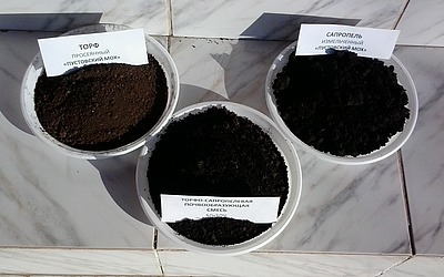 Торфо-сапропелевый почвообразователь для озеленения Астаны Торфо-сапропелевый почвообразователь для озеленения Астаны