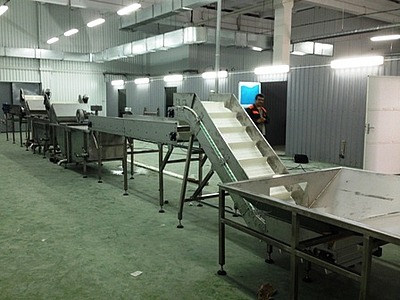 ЛИНИЯ ЗАСОЛКИ ОГУРЦОВ И ТОМАТОВ ДЛЯ УП 