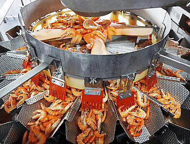 «Агама Роял Гринланд» выбирает современные технологии производства и финансирования «Агама Роял Гринланд» выбирает современные технологии производства и финансирования