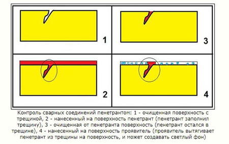 1001007869.jpg
