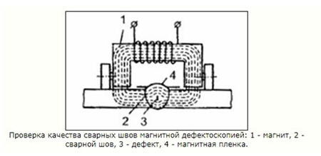 1001007871.jpg