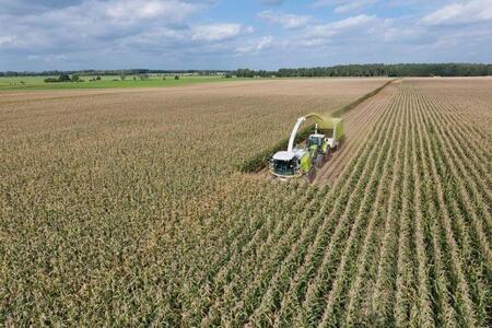 CLAAS рассчитал убытки при недомолоте зерен кукурузы на силос