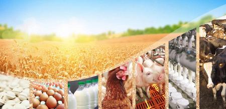 Рейтинг крупнейших компаний по производству пищевых продуктов