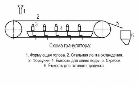 1001872207.jpg