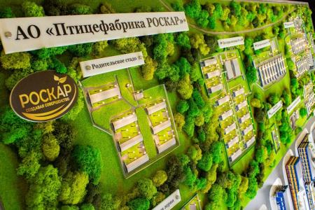 Кейс: промышленный макет птицефабрики «Роскар»