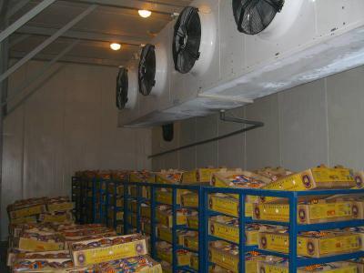 Первые по овощехранилищам