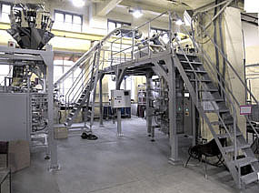 ПРОИЗВОДСТВЕННАЯ ПРОГРАММА ПРОИЗВОДСТВЕННАЯ ПРОГРАММА