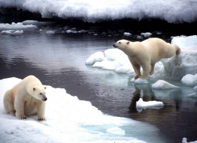 На Ямале заработал молокозавод