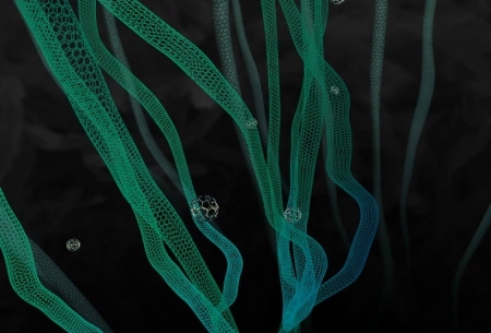 ФИОП выпустил каталог 