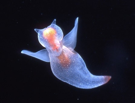 АББ и Statoil разрабатывают технологии для глубоководной системы энергоснабжения