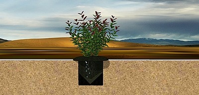 Производство почвообразователя для укрепления земель при эрозии