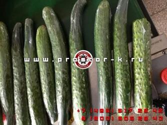 АКЦИЯ - АВТОМАТИЧЕСКИЕ ТЕРМОУСАДОЧНЫЕ ЛИНИИ В ПВХ ПЛЕНКУ