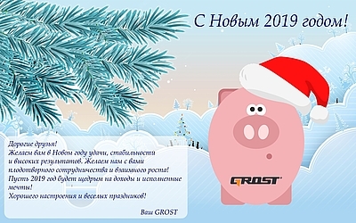 С наступающим Новым 2019 годом!
