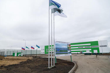 В Коми открылся тепличный комплекс с инновационным оборудованием и технологиями выращивания овощей