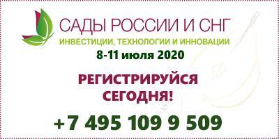 «Сады России и СНГ 2020» пройдет в новом формате: онлайн бизнес – форум.