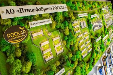 Кейс: промышленный макет птицефабрики «Роскар»