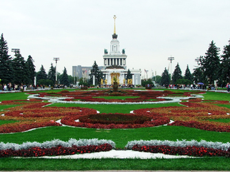 Уважаемые дамы и господа! Уважаемые дамы и господа!