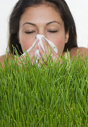 Чем мы с Вами дышим?