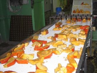 Конвейерная линия для ЗАО "Совхоз им. Ленина"