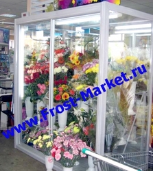 Поступили в продажу холодильные шкафы Б/У для цветов. Поступили в продажу холодильные шкафы Б/У для цветов.