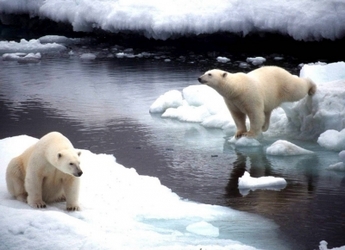 На Ямале заработал молокозавод На Ямале заработал молокозавод