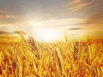 Комплексный подход