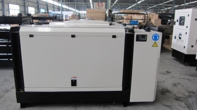 Поступление ДГУ Leega