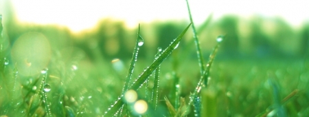 ОАО "РЖД" планомерно снижает техногенное воздействие на окружающую среду