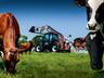  Компании JCB и «ЭкоНива» отметили 10 лет сотрудничества