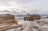 Техника Liebherr повышает производительность группы «ИЛИМ» 