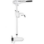 Моторы лодочные Minn Kota RIPTIDE TM 55 / BM 55