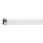 Лампы люминесцентные PHILIPS TL-D 30W/54-765 G13 (25/625)