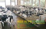 Системы удаления и хранения навоза