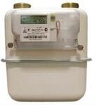 Газовый счетчик VEKTOR LUX G2,5