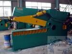 Ножницы аллигаторные гидравлические Q43-100