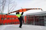Беспилотный летательный аппарат
